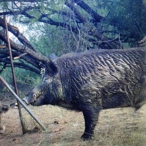 Meet your Posher, Brad